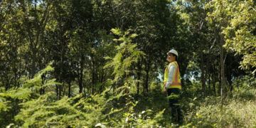 Cámara Minera pide actualizar la Ley Minera