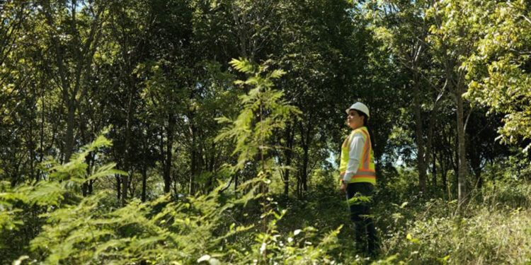 Cámara Minera pide actualizar la Ley Minera