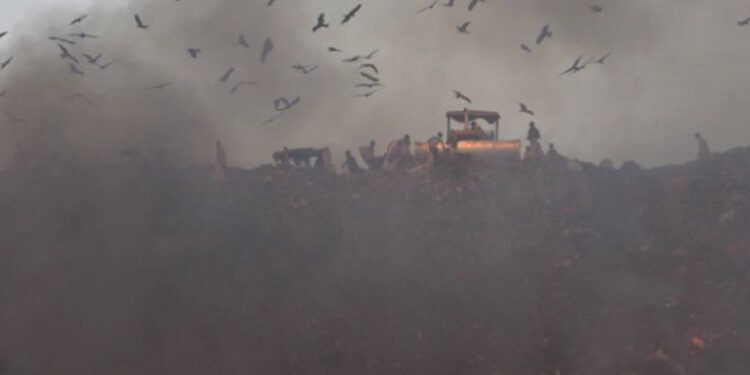 Contaminación del aire agrava riesgo de mortalidad