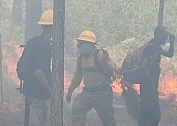 Controlan incendio forestal en Sierra de Bahoruco