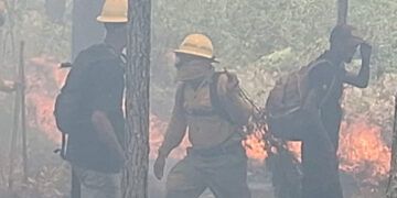 Controlan incendio forestal en Sierra de Bahoruco