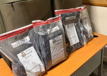 DNCD detiene mujer con cocaína en AILA