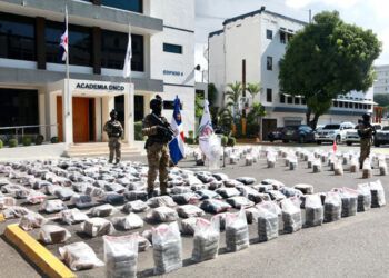 DNCD ocupa 1,295 paquetes de drogas en Pedernales