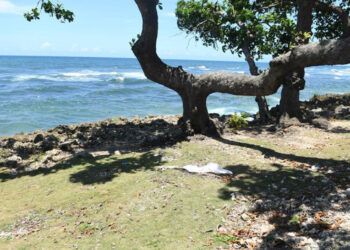 Encuentran cuerpo de mujer en el Malecón de Santo Domingo