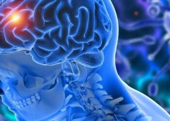 Hábitos diarios mejoran salud cognitiva en mayores