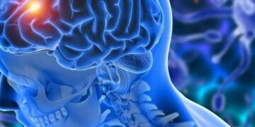 Hábitos diarios mejoran salud cognitiva en mayores