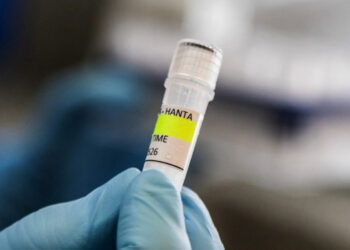 Hantavirus en crucero no se habría originado a bordo