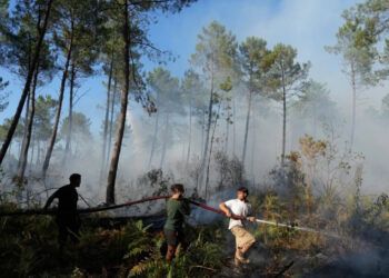 Incendios en Francia obligan a evacuar a 4,000 personas
