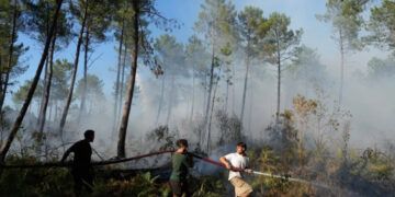 Incendios en Francia obligan a evacuar a 4,000 personas