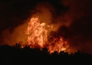 Incendios forestales arrasan bosques en Europa
