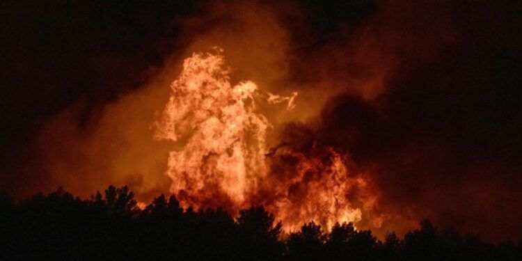 Incendios forestales arrasan bosques en Europa