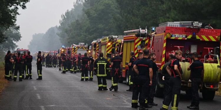 Incendios forestales en Madrid amenazan al ganado