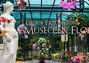 Jardín Botánico de Santiago acoge Feria de Orquídeas