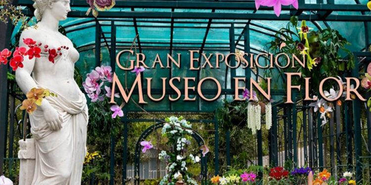 Jardín Botánico de Santiago acoge Feria de Orquídeas