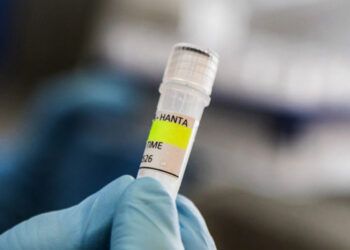 La OMS urge seguir directrices ante hantavirus