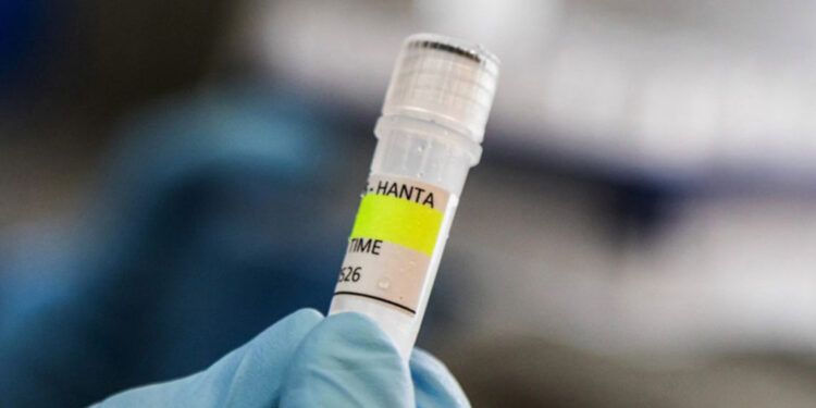 La OMS urge seguir directrices ante hantavirus