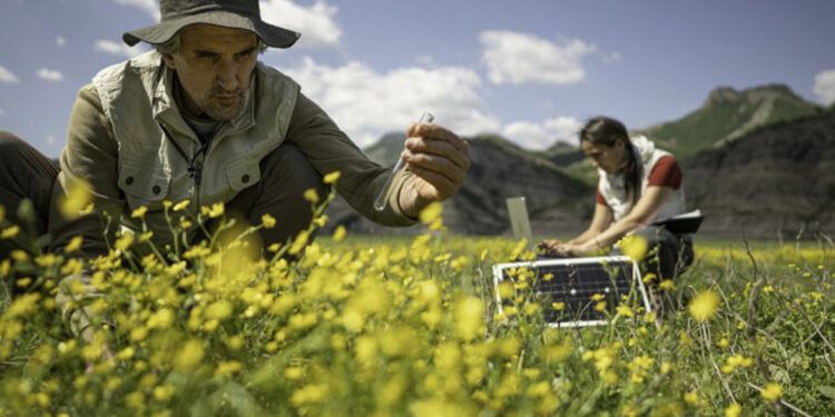 Líderes mundiales piden frenar pérdida de biodiversidad