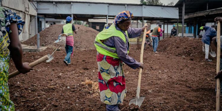 OMS alerta sobre contagio del ébola en RDC