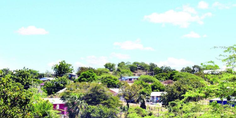 Ocupación en Dunas de Baní amenaza área protegida