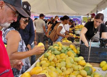 Productores de Baní perderán RD$90 millones