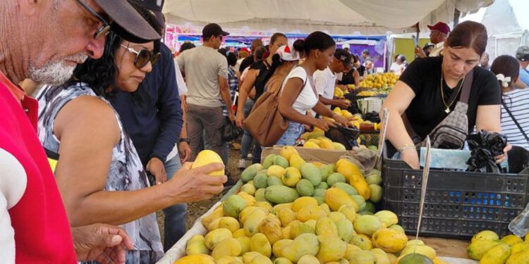 Productores de Baní perderán RD$90 millones