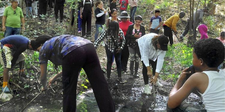 Rescatan la Laguna del Majagual en Peravia
