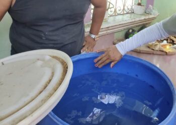 Salud Pública reporta 10 casos nuevos de dengue