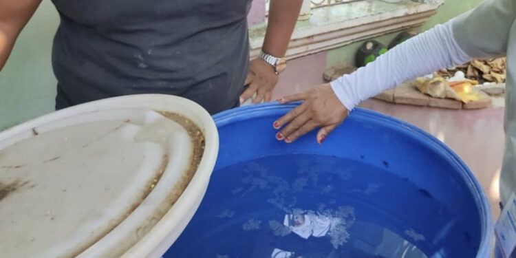Salud Pública reporta 10 casos nuevos de dengue