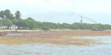 Sargazo en Barahona golpea negocios y turismo