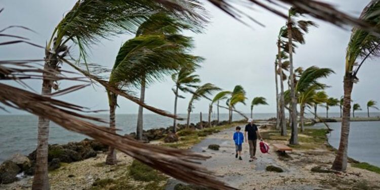 Tormenta tropical Lala golpea Hawái con fuertes lluvias