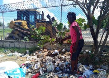 Vida entre desechos en vertedero de Bajos de Haina