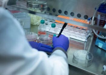 Acciones de Trump amenazan la investigación en salud y ciencia en EE.UU.