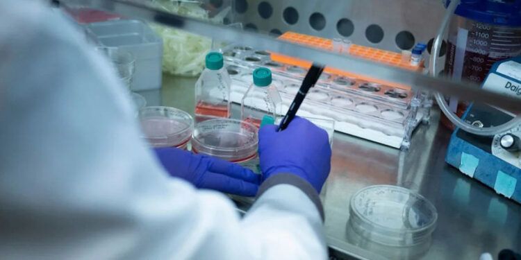 Acciones de Trump amenazan la investigación en salud y ciencia en EE.UU.