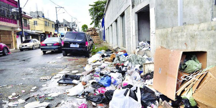 ADN dona fundas y se une a jornada de limpieza en Villas Agrícolas