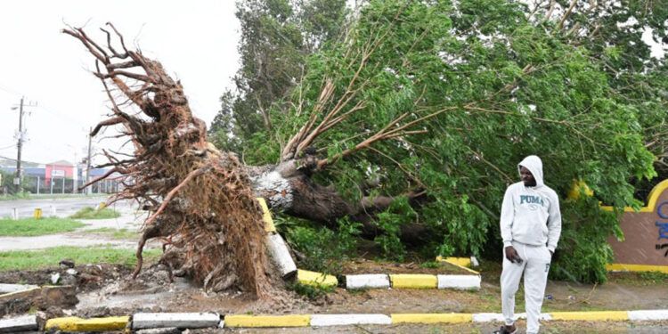 Aeropuerto y hospitales destruidos y más de 15,000 desplazados deja Melissa en Jamaica