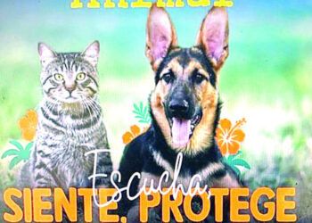 Animal Fest RD arranca este viernes con agenda cultural y educativa