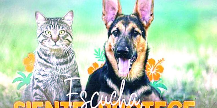 Animal Fest RD arranca este viernes con agenda cultural y educativa