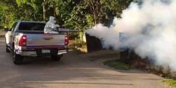 Aumentan casos de malaria en San Juan con 12 nuevos contagios