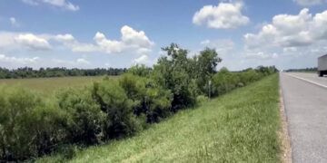 Bebé de un año sobrevive dos días en carretera de Nueva Orleans