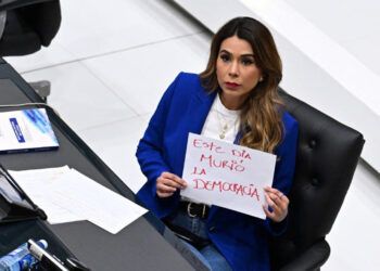 Bukele niega que reelección indefinida marque el fin de la democracia en El Salvador