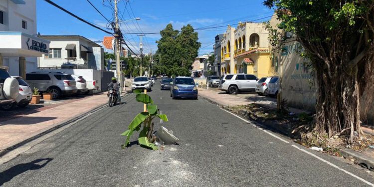 Calle Doctor Delgado: Alcantarillas sin tapas "adornadas" con plátanos y palos