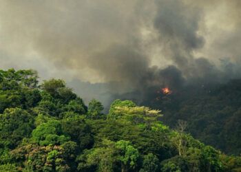 Cambio climático y especies invasoras amenazan el Patrimonio Mundial natural