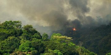 Cambio climático y especies invasoras amenazan el Patrimonio Mundial natural