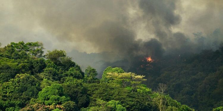 Cambio climático y especies invasoras amenazan el Patrimonio Mundial natural
