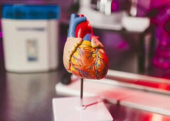 Científicos crean IA que detecta anomalías cardíacas con 95 % de éxito
