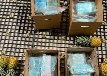 Cocaína incautada en cajas de piña en Punta Cana