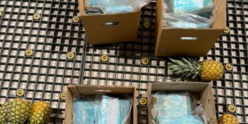 Cocaína incautada en cajas de piña en Punta Cana