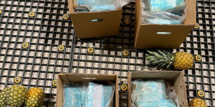 Cocaína incautada en cajas de piña en Punta Cana