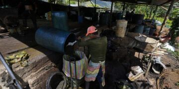 Colombia enfrenta el círculo vicioso entre conflicto armado y pobreza