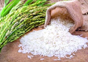 Comerciantes piden priorizar mercado local y controlar exportaciones